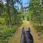 Grosses Neues Mein Burgwaldtraum * Rauschenberg
