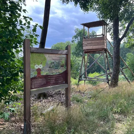 Apartmán Grosses Neues Mein Burgwaldtraum