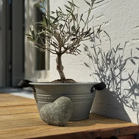 Grosses Neues Mein Burgwaldtraum Apartmán Rauschenberg