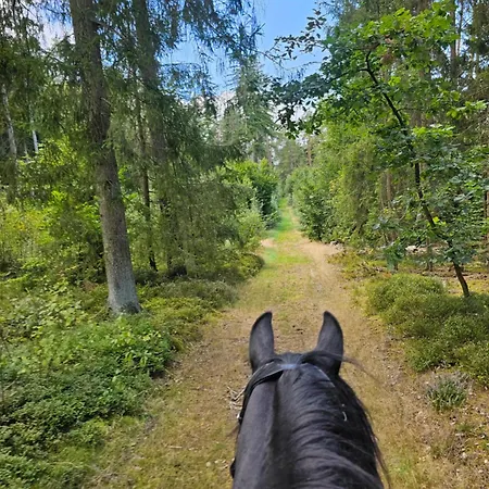 Grosses Neues Mein Burgwaldtraum * Rauschenberg