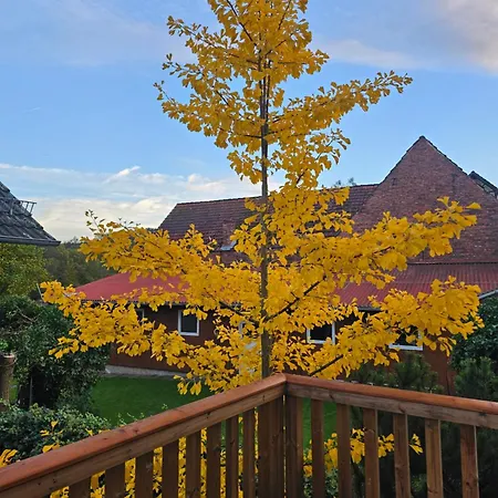 Grosses Neues Mein Burgwaldtraum Rauschenberg