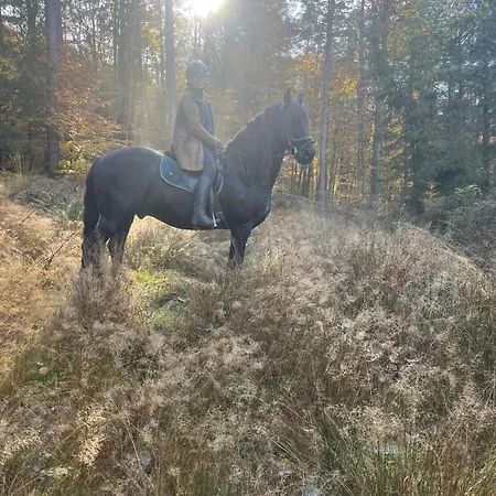 Apartmán Grosses Neues Mein Burgwaldtraum Rauschenberg