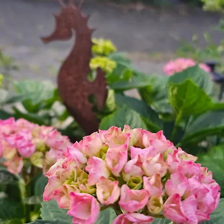 Apartmán Grosses Neues Mein Burgwaldtraum Rauschenberg