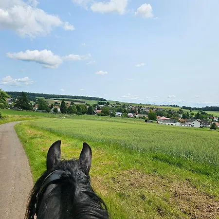 Grosses Neues Mein Burgwaldtraum Rauschenberg