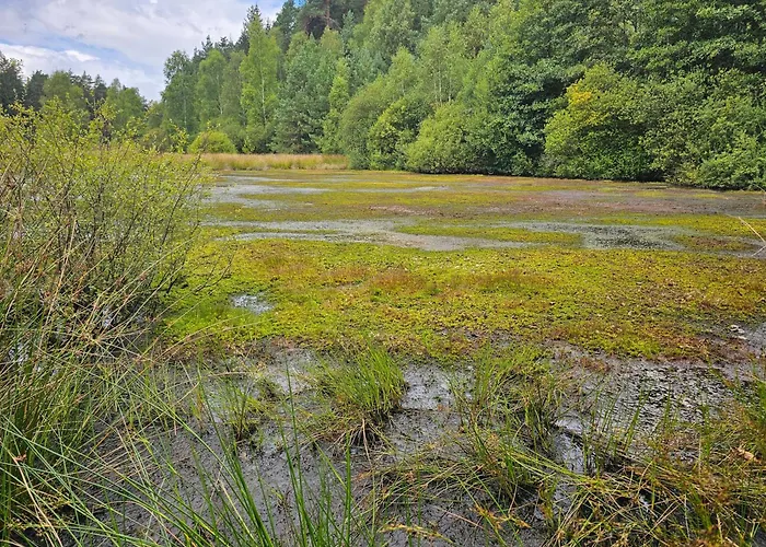 Apartamento Grosses Neues Mein Burgwaldtraum