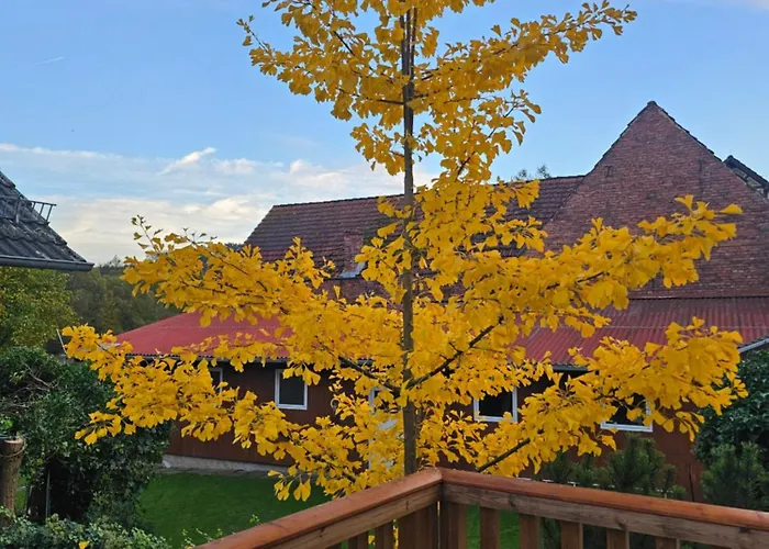 Grosses Neues Mein Burgwaldtraum Rauschenberg