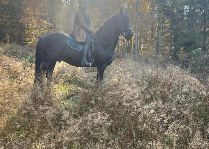 Apartamento Grosses Neues Mein Burgwaldtraum Rauschenberg