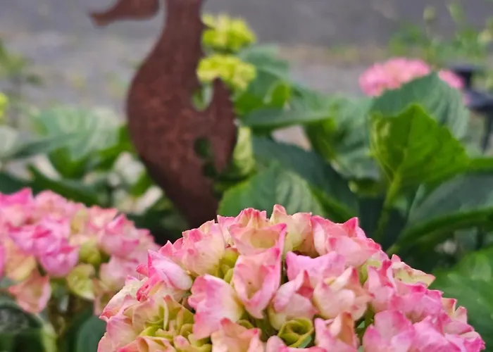 Apartamento Grosses Neues Mein Burgwaldtraum Rauschenberg