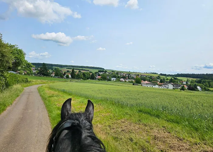 Grosses Neues Mein Burgwaldtraum Rauschenberg